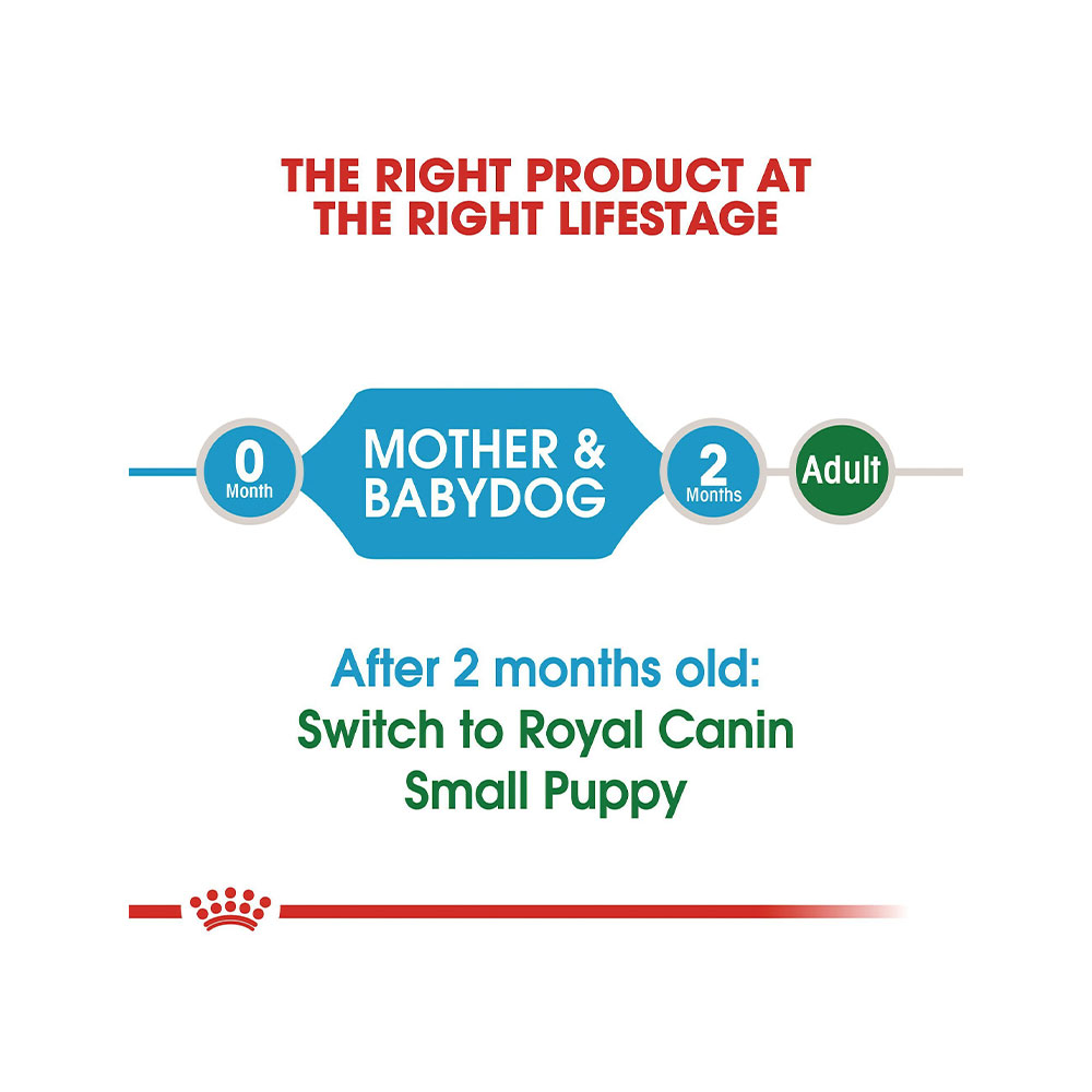  غذای خشک سگ رویال کنین مدل Small Starter Mother & Babydog