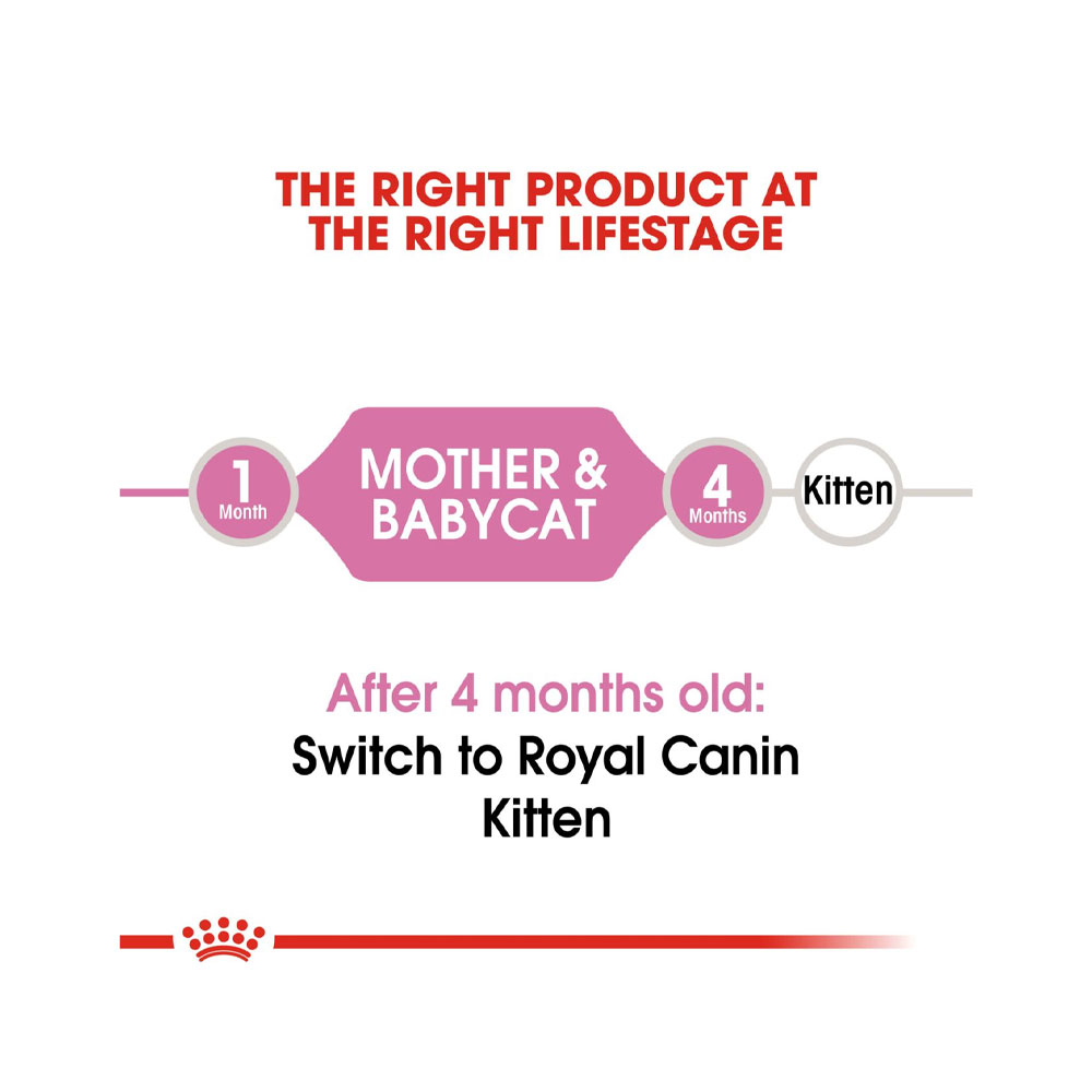غذای خشک گربه رویال کنین مدل Mother & Babycat Dry Cat Food