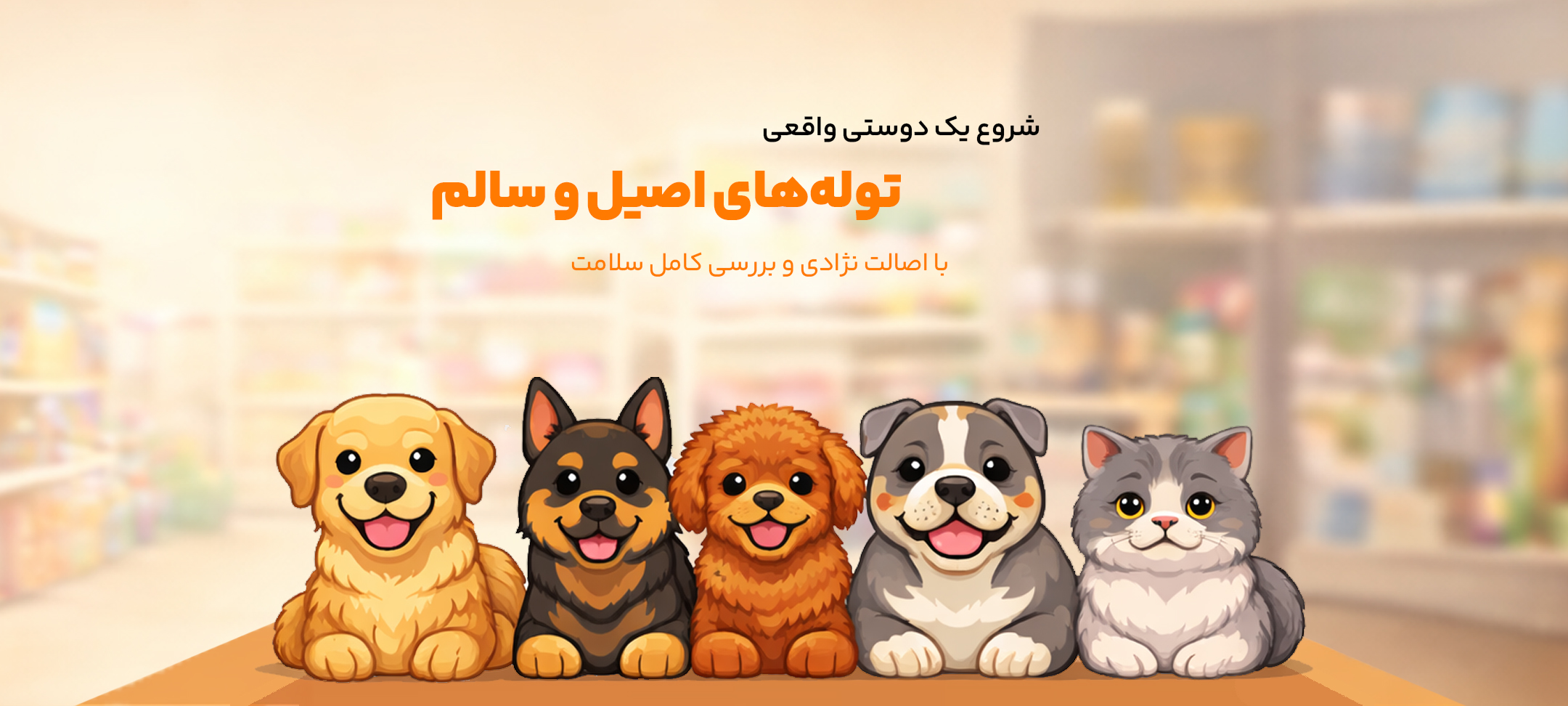 آموزش برای پت خانگی