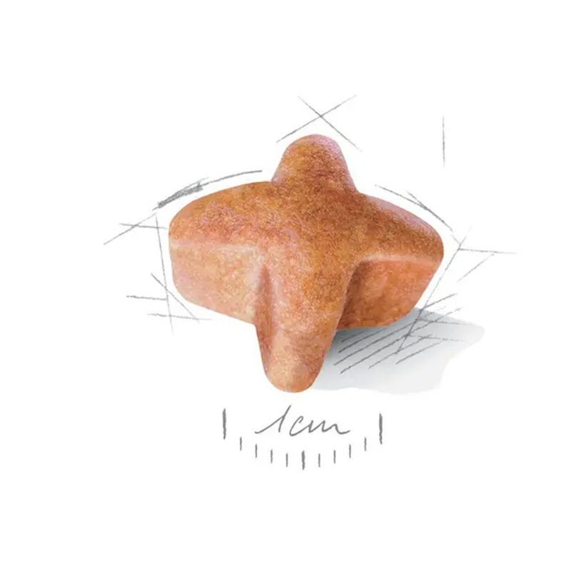 غذای خشک مخصوص سگ‌های نژاد ژرمن شپرد بالغ Royal Canin German Shepherd Adult