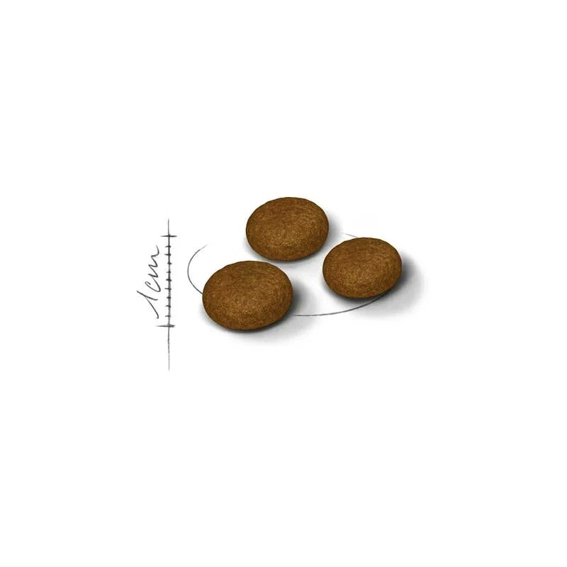       غذای خشک گربه رویال کنین مدل فاسی اگزیجنت Royal Canin Fussy Exigent